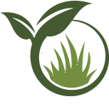 Japanese Knotweed Removal Pros