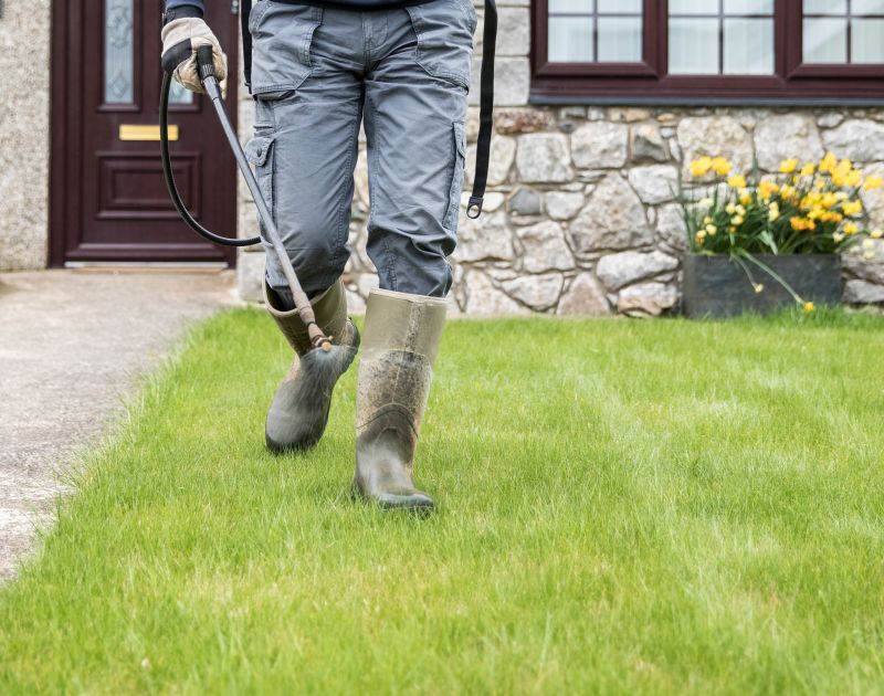 Professional Service in Action